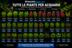 Offerte primaverili