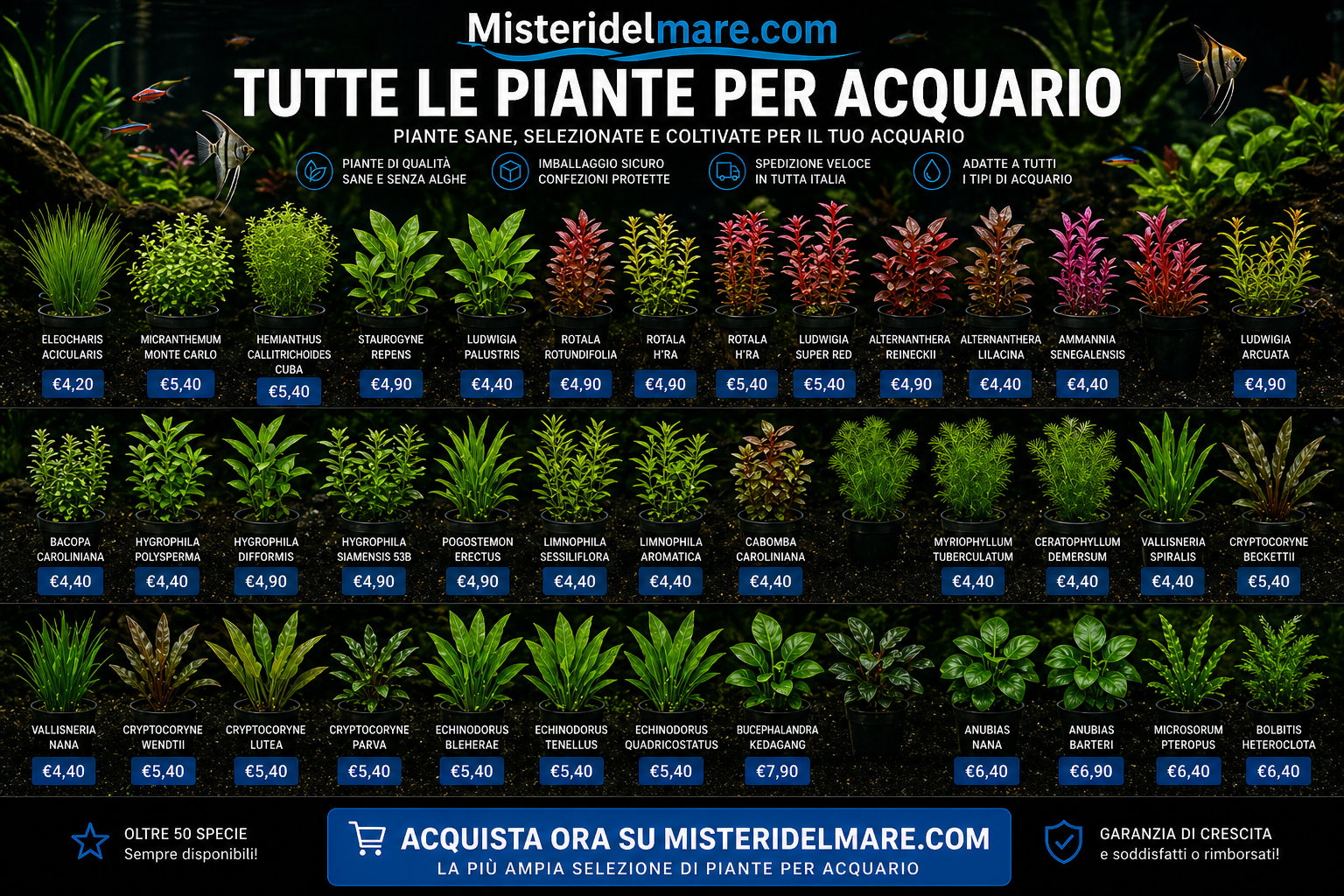 Offerte primaverili