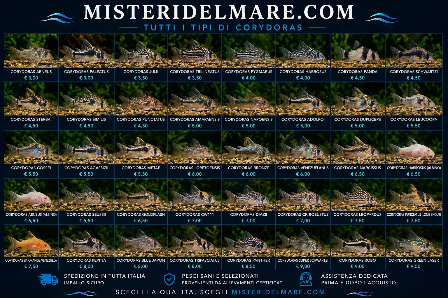 Offerte primaverili