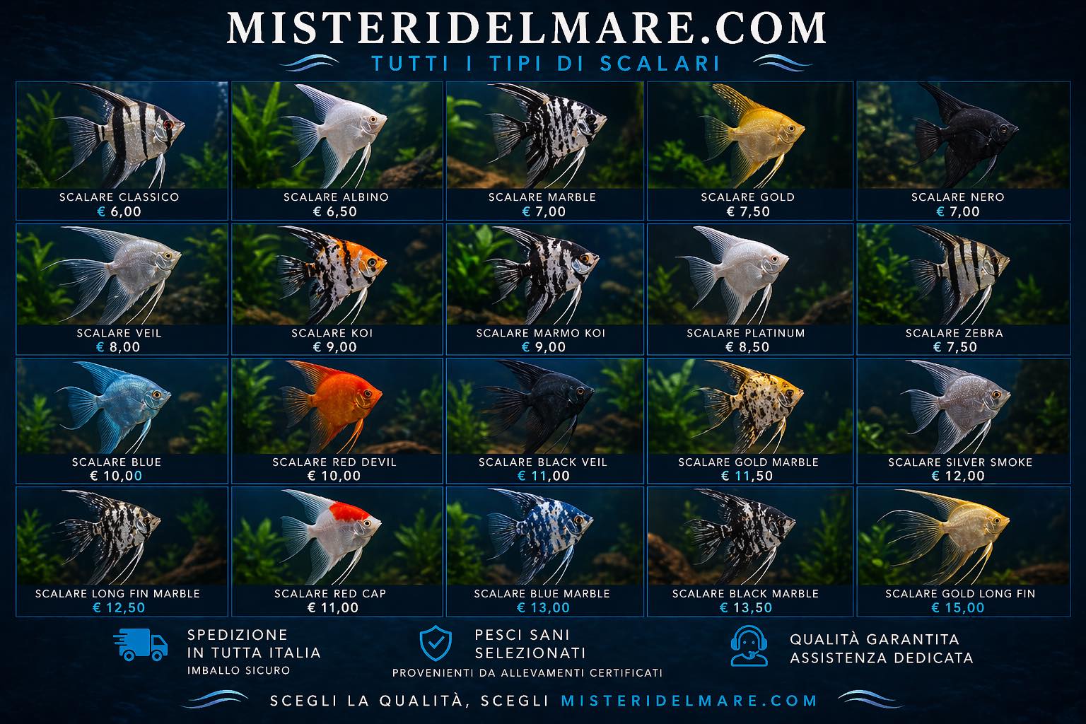Offerte primaverili