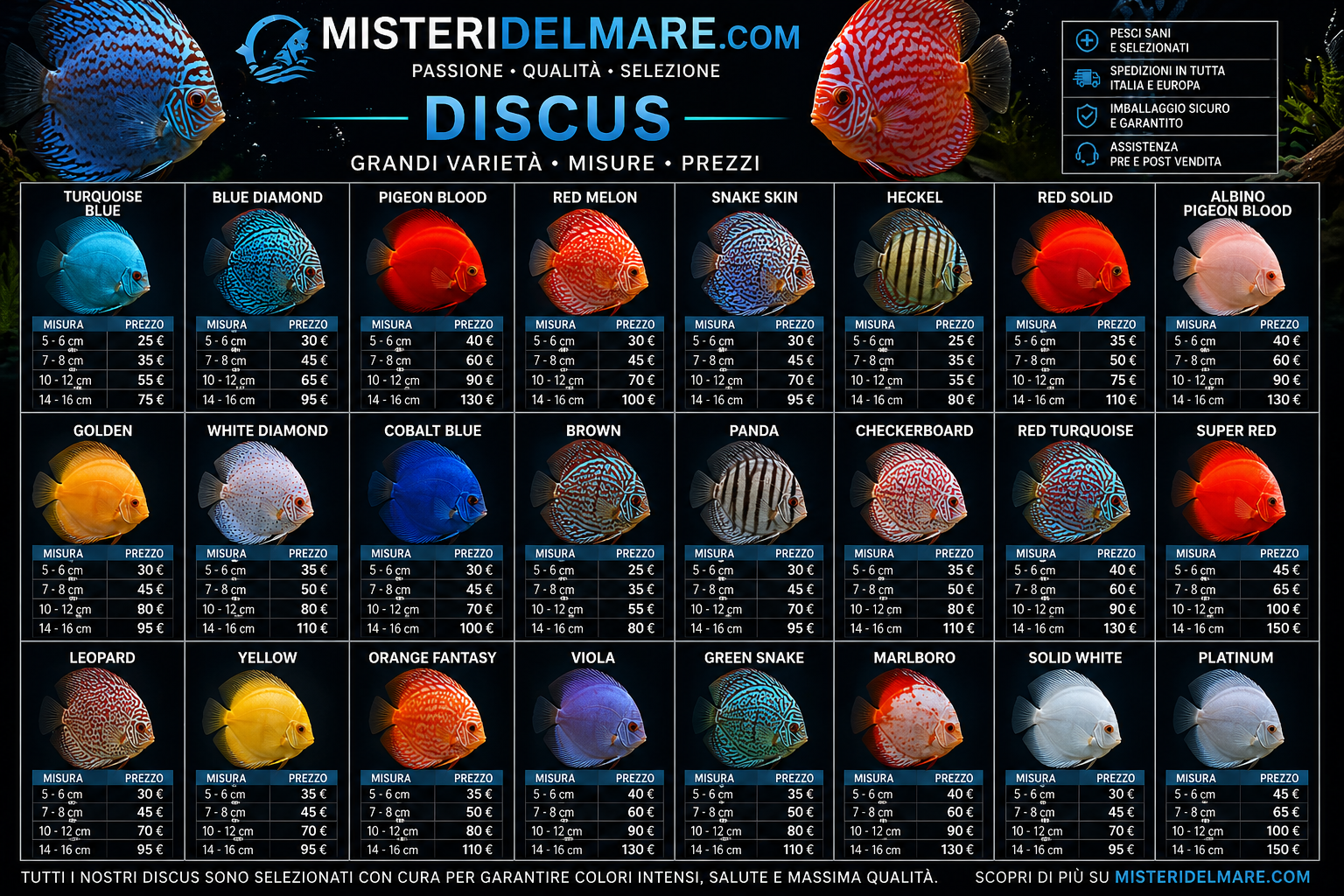 Offerte primaverili
