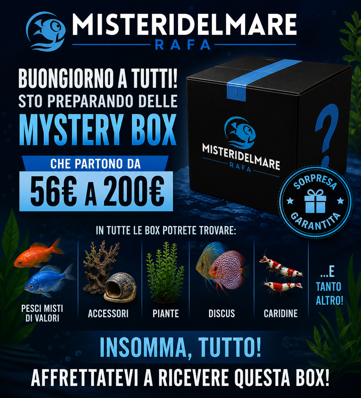Offerte primaverili
