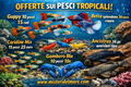 Offerte primaverili