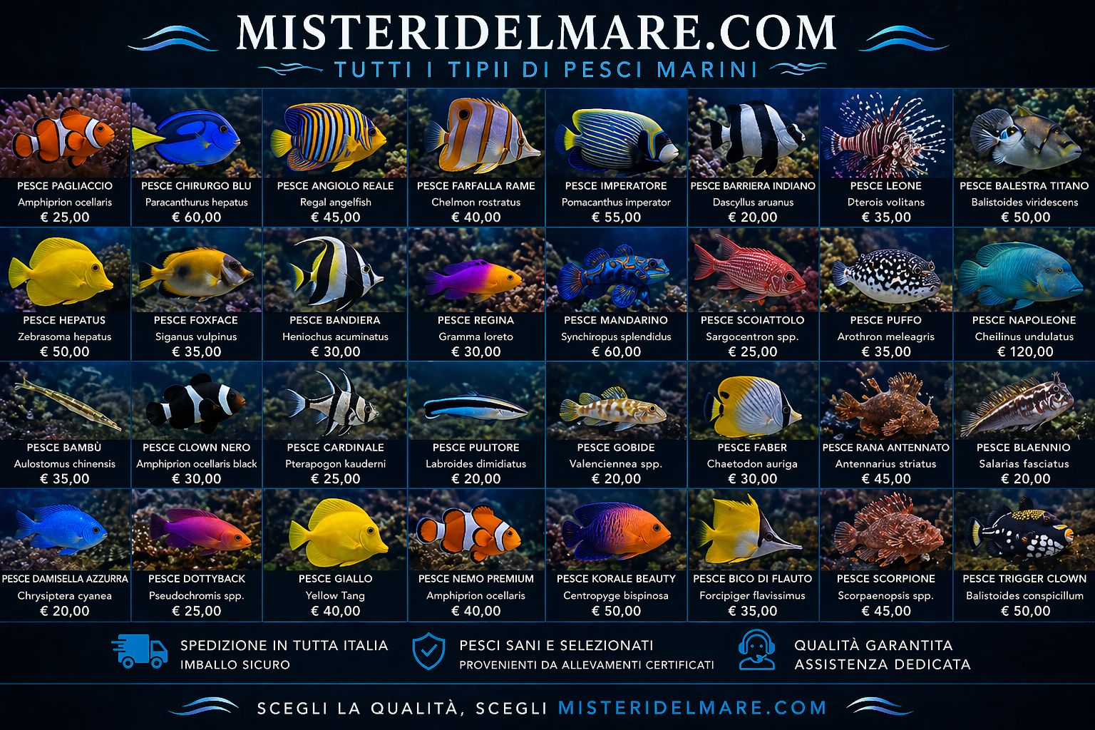 Offerte primaverili