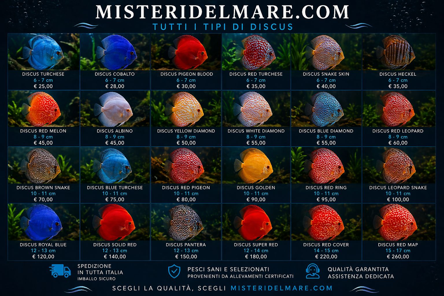Offerte primaverili